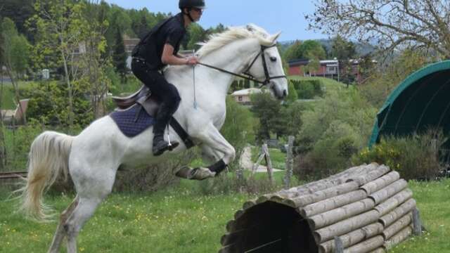 ECURIE DES GRANDS CAUSSES