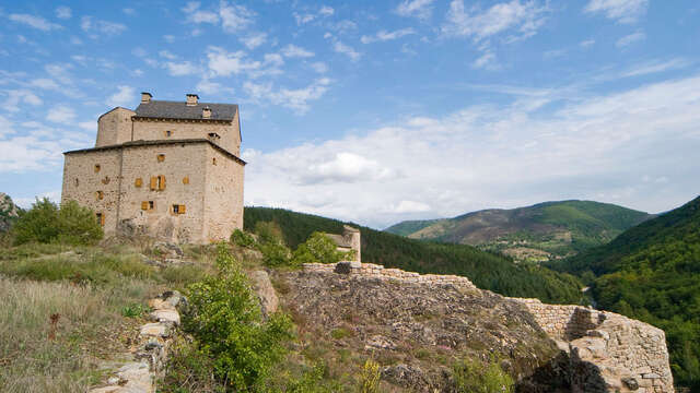 CHATEAU DU MIRAL