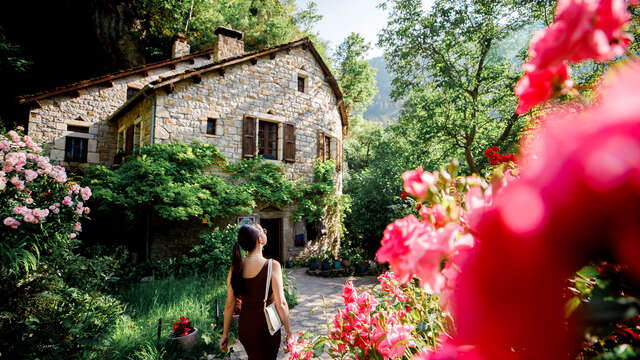 LA SOURCE DU MOULIN DE CENARET