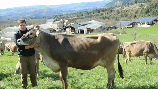 UN ÉTÉ À LA FERME : FRAISSINET