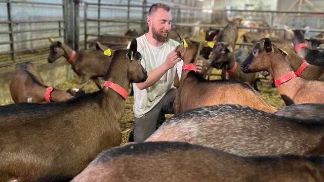 UN ÉTÉ À LA FERME : LA JONQUIÈRE