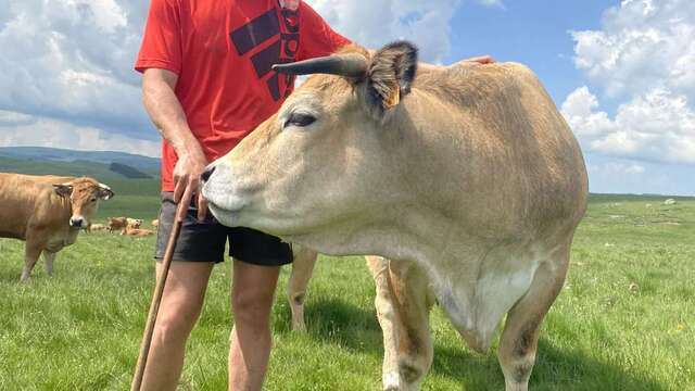 UN ÉTÉ À LA FERME : LE BROUILLET