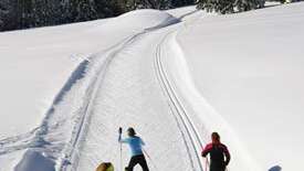 SKI AU COL DE BONNECOMBE - AUBRAC SUD LOZÈRE