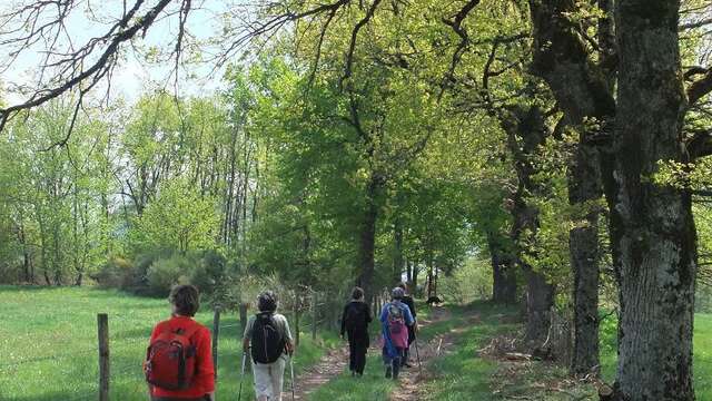 RANDONNÉES SOLIDAIRES AU PROFIT DU TÉLÉTHON AU LE MASSEGROS