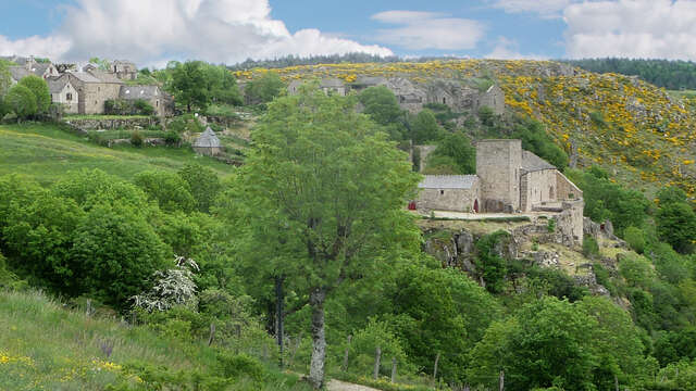 CHATEAU DE GRIZAC