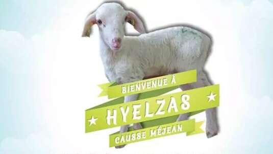 FERME DU GAEC DE HYELZAS