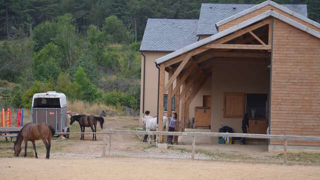 CHEVAUX AU VENT