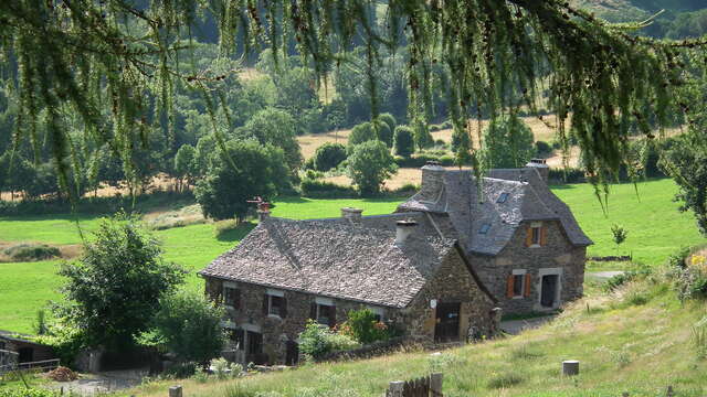 LA TARABELLE