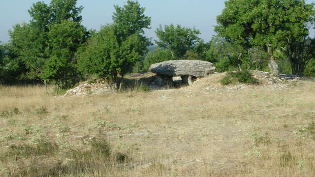 DOLMEN DE CHANGEFEGE