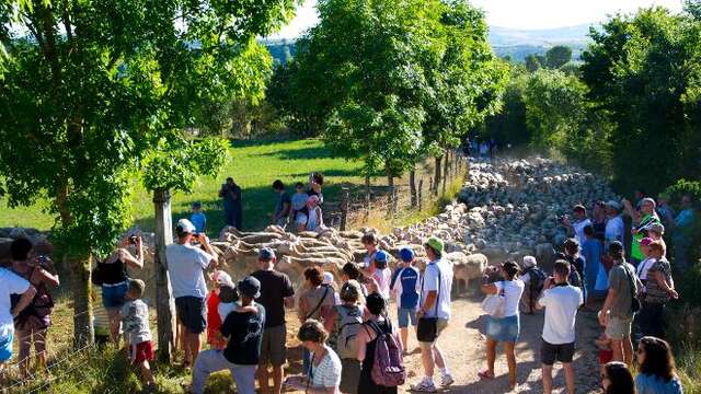 FERME SEGUIN, GAEC DES GRANDS CAUSSES