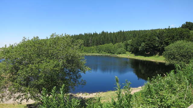 ETANG DE BONNECOMBE