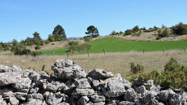 LE CAUSSE SAUVETERRE : LAVAL DU TARN (COTATION ROUGE)