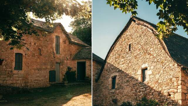 DOMAINE DE LA VIALETTE - LA CAUSSENARDE