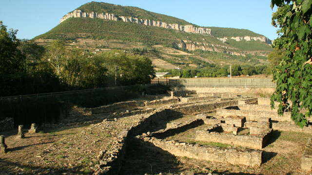 SITE ARCHEOLOGIQUE DE LA GRAUFESENQUE