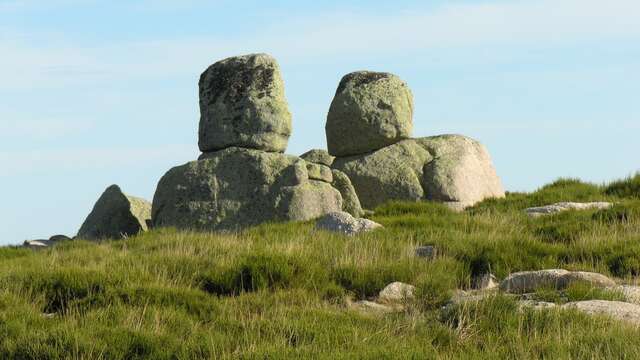 TOURS DU MONT-LOZÈRE ET DU CAUSSE MÉJEAN - GR DE PAYS