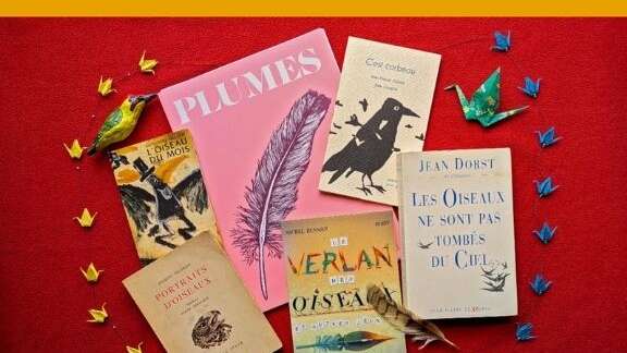 OISEAUX EN MOTS