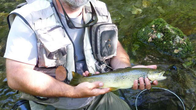 GUIDE DE PECHE SEBASTIEN CABANE