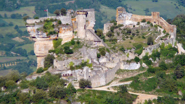 CHÂTEAU DE PEYRELADE