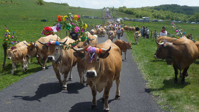 FÊTE DE LA TRANSHUMANCE AU COL DE BONNECOMBE ET FESTI'RANDO