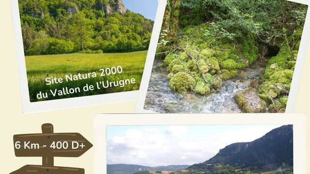 RANDONNÉE NATURALISTE