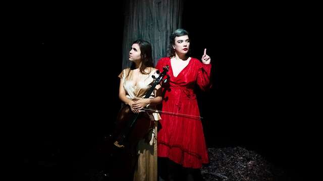 FESTIVAL DETOURS DU MONDE -BIRDS ON A WIRE