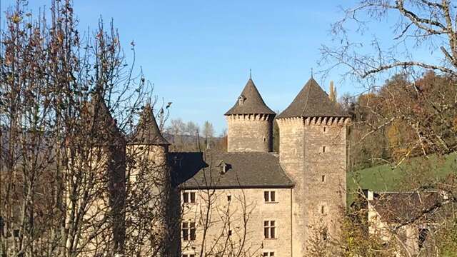 CHATEAU DE SAINT-SATURNIN DE TARTARONNE