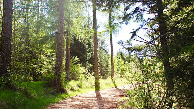 Le Causse de Mende - VTT n°16