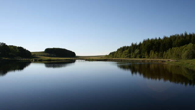 Bonnecombe sur l'Aubrac - VTT n°9