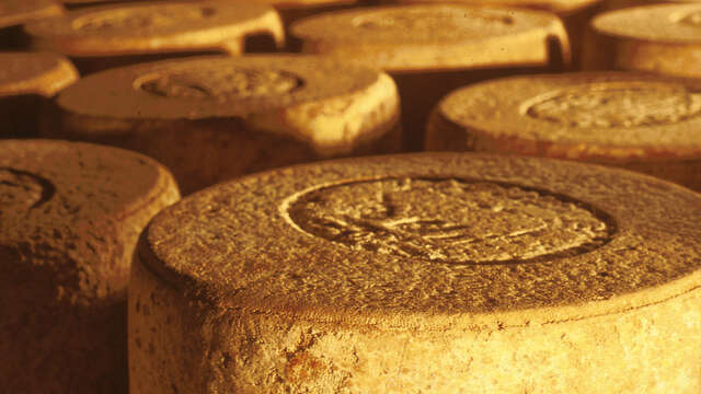 JEUNE MONTAGNE COOPERATIVE FROMAGÈRE