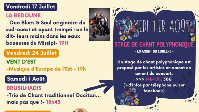 CONCERT DE NICO BRAVIN AU MOULIN