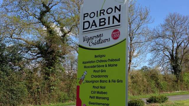 Rando des cépages au Domaine Poiron Dabin