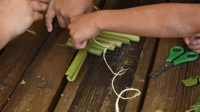 Atelier Famille "Musique Verte"