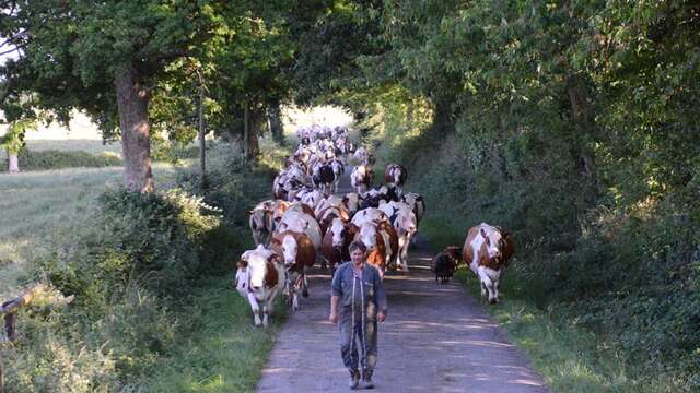 Ferme de la Fouardière