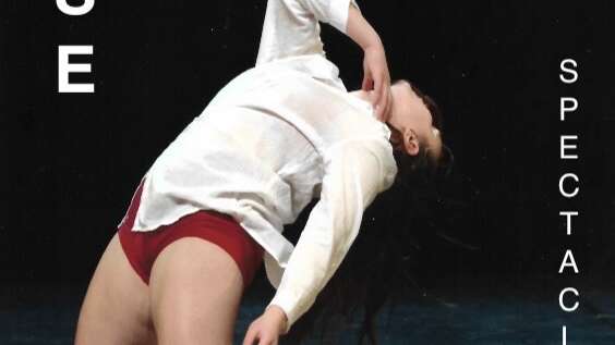 Spectacle de danse avec Béa Danse