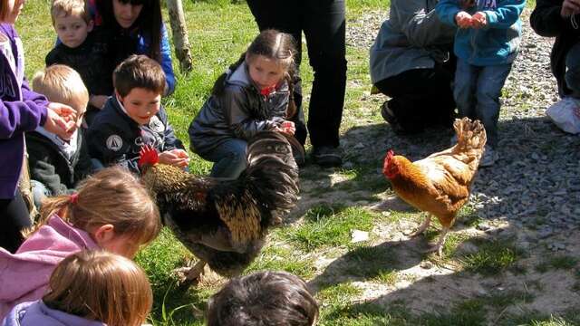Mes 1ères bottes - Nourrissage des animaux de la ferme