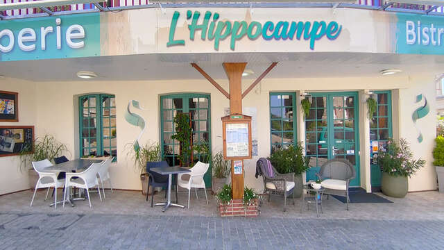 L'Hippocampe