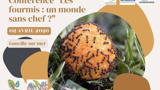 Conférence "Les fourmis :  un monde sans chef ?"