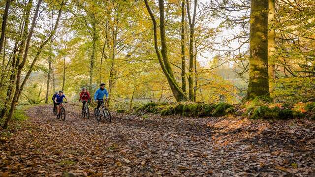 VTT - Au contact du Granit Bleu