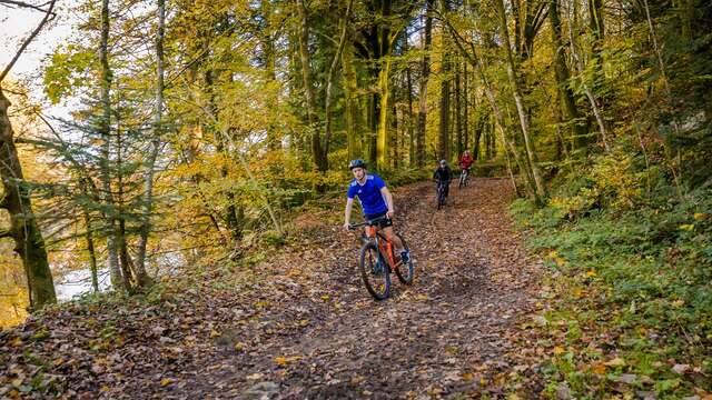 VTT - Le Tour de la Vallée de la Sée