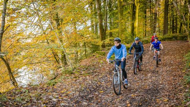 VTT - Des sources à la rivière