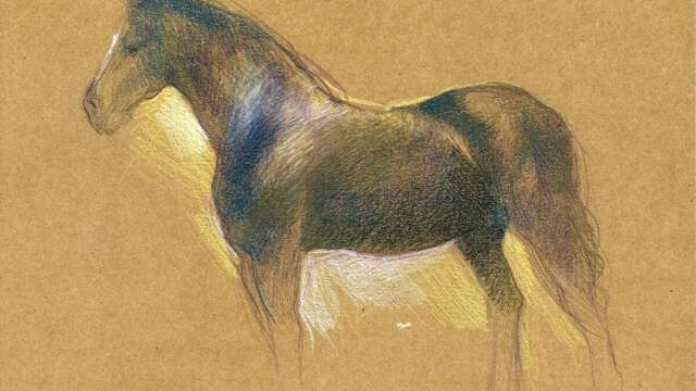 Atelier dessin modèle vivant animal (session cobs) avec Laura Szabo