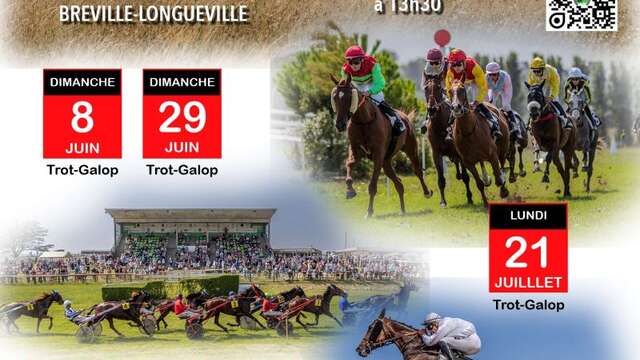 Courses hippiques