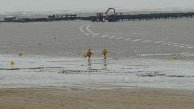 Balade : découverte de l'estran