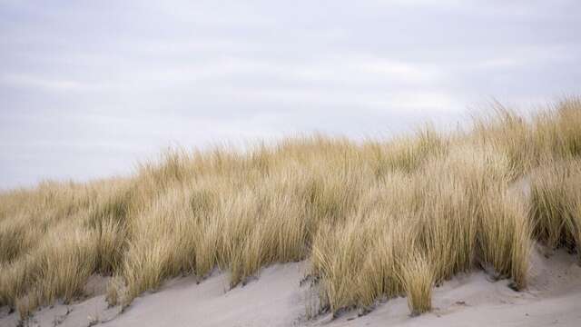 Randonnée pédestre commentée - 10e anniversaire du sentier des dunes d’Annoville