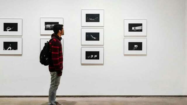 Parcours artistique à la médiathèque et au musée Quesnel-Morinière