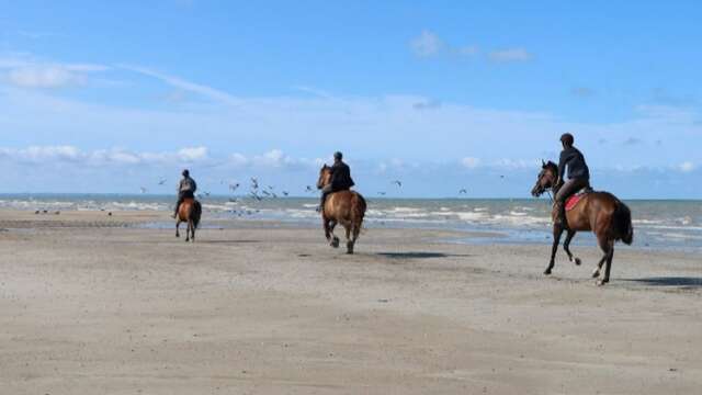 Randonnée à cheval 3 jours au havre de la Vanlée et de Régneville