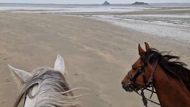 Randonnée à cheval 3 jours en baie du Mont Saint-Michel - Bec d'Andaine - Val Saint Père