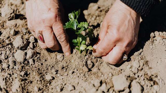 Atelier jardinage