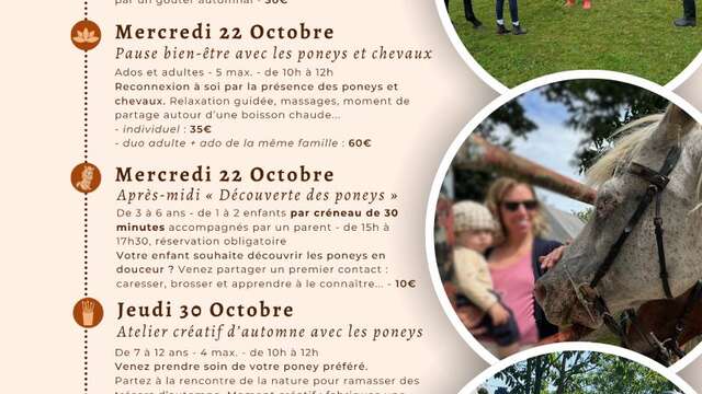 Le Cheval, Un Guide : Vacances à l'association - Octobre 2025