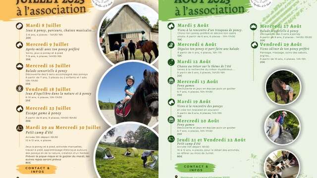 Activités autour et avec les poneys à l'association